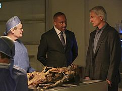 Agenci NCIS: 15x08 „Voices” - zdjęcia promocyjne