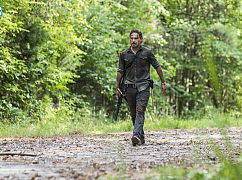 Żywe trupy: 8x06 „The King, the Widow, and Rick” - zdjęcia promocyjne