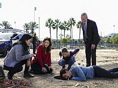 Scorpion: 4x11 „Who Let the Dog Out (‘Cause Now It’s Stuck in a Cistern)” - zdjęcia promocyjne
