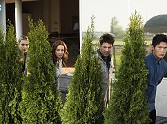 Bibliotekarze: 4x02 „and the Steal of Fortune” - zdjęcia promocyjne