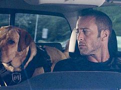 Hawaii 5.0: 8x12 „Ka hopu nui 'ana” - zdjęcia promocyjne