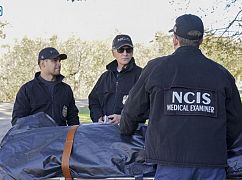Agenci NCIS: 15x13 „Family Ties” - zdjęcia promocyjne