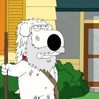 Meg Stinks!