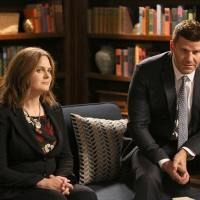 The New Tricks in the Old Dogs