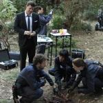 The Twist in the Plot