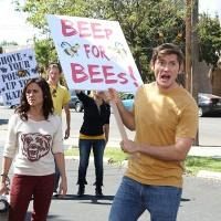 Bee Story