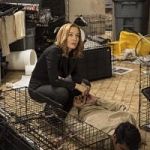 Mulder & Scully Meet the Were-monster
