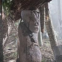 Episodes #1.1