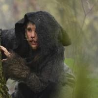 Where the Wild Things Were