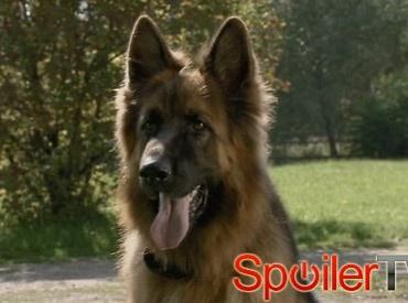 Komisarz Alex - Sezon 2 - Odcinek 9