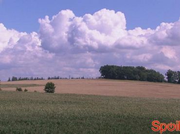 Pierwsza miłość - Odcinek 2160